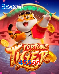 45555 slots da pg soft